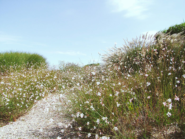 closducoudray_lesarplanteurs_08