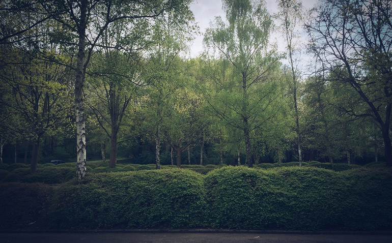 parcdurouelles_lesarplanteurs_01