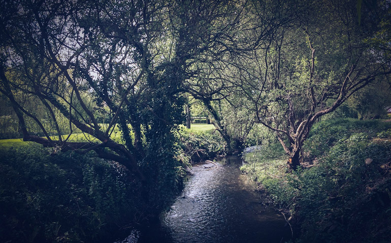 parcdurouelles_lesarplanteurs_07