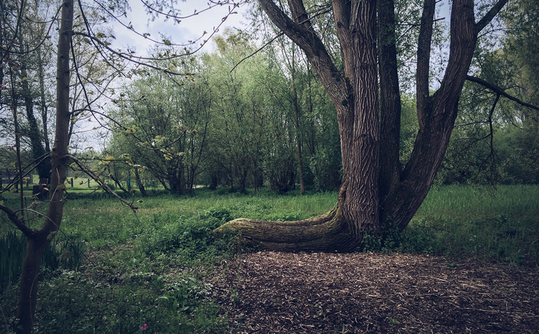 parcdurouelles_lesarplanteurs_09