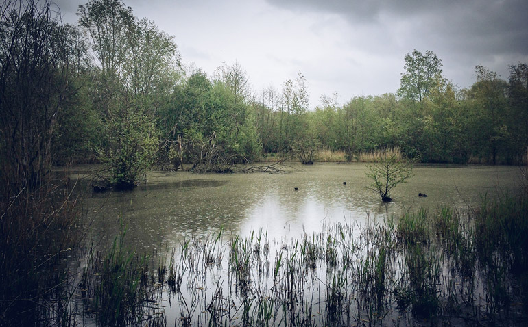 parcdurouelles_lesarplanteurs_12