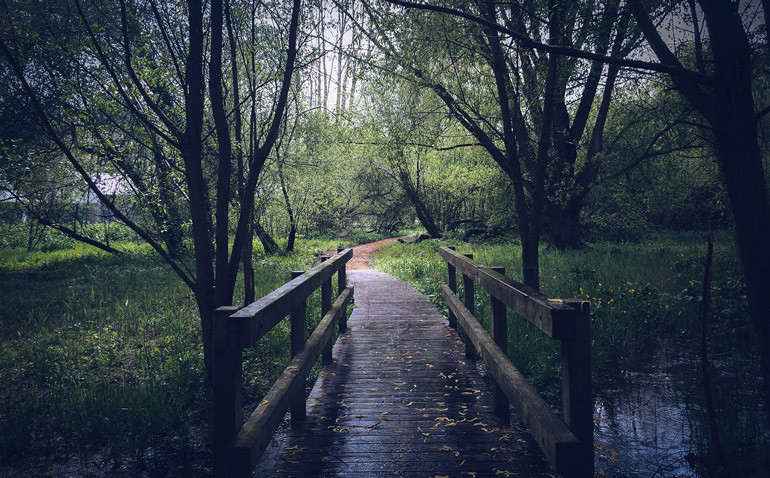 parcdurouelles_lesarplanteurs_13