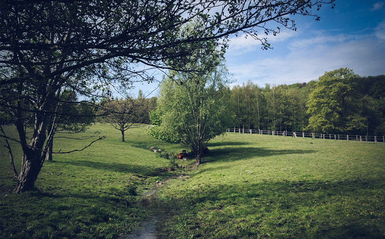 parcdurouelles_lesarplanteurs_14