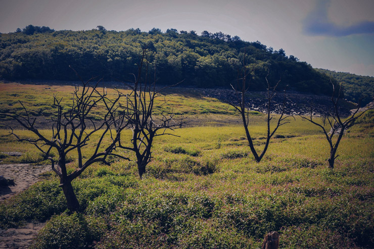 Lacguerledanasseche_05