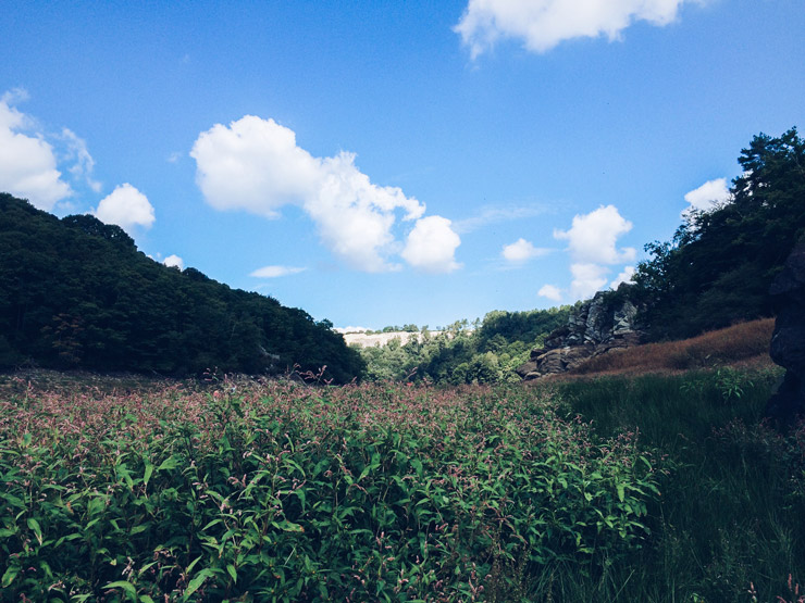 Lacguerledanasseche_10